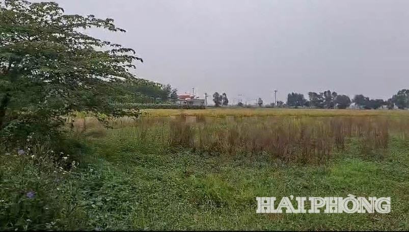 diem-dan-cu-phong-noi(1).jpg
