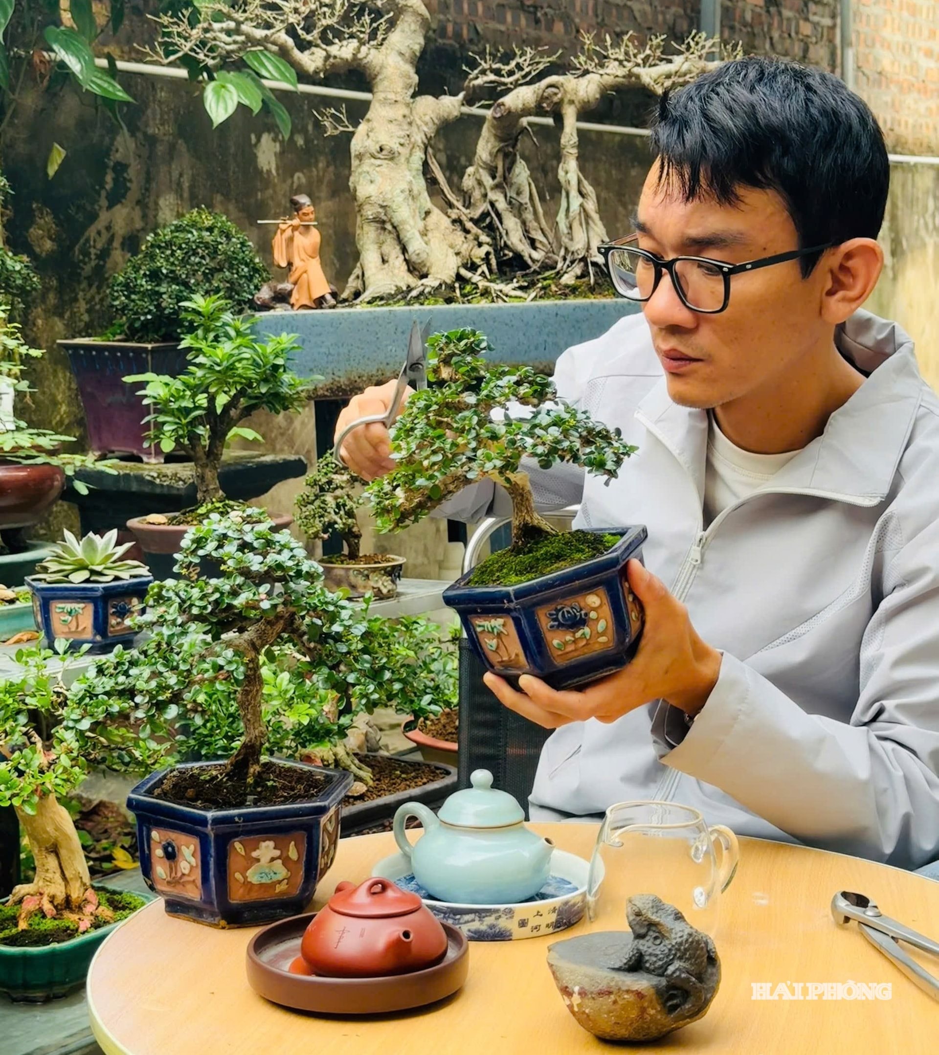 doc-dao-bonsai.jpg