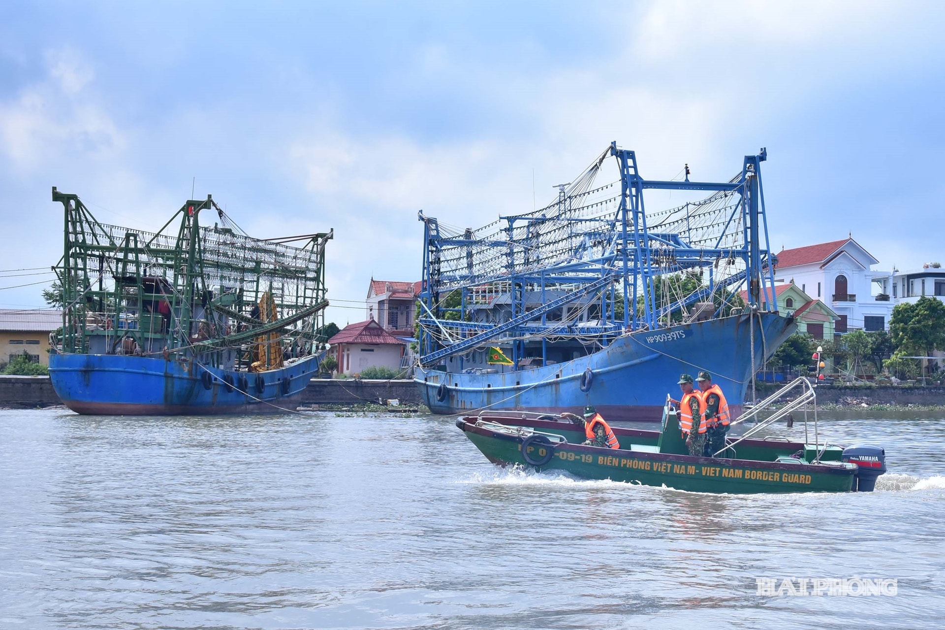 ড্রাগন আই ফিশ ১০