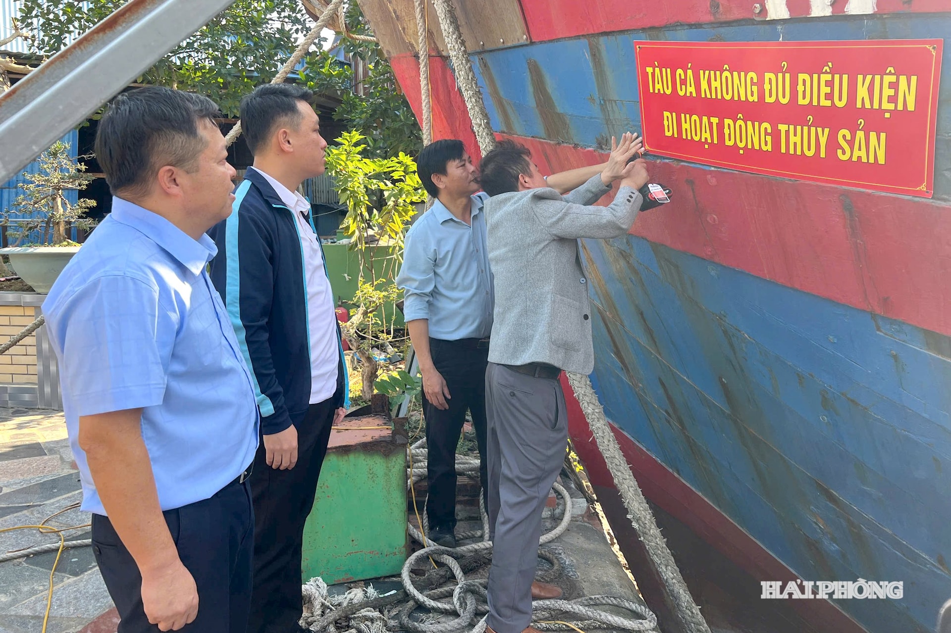 ড্রাগন ক্যাট ১৮