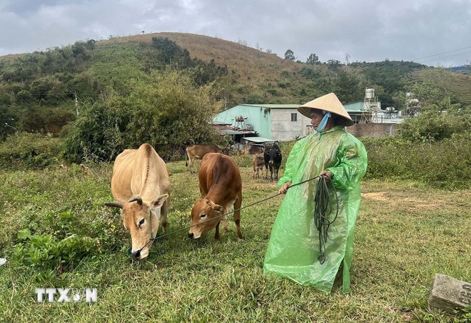 ttxvn-giam-ngheo.jpg