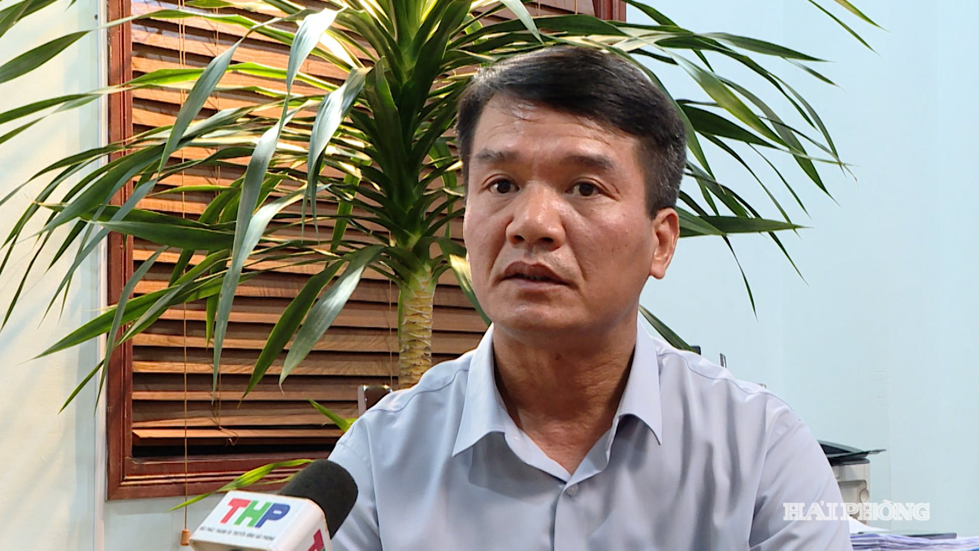 ANH THUAN (2)