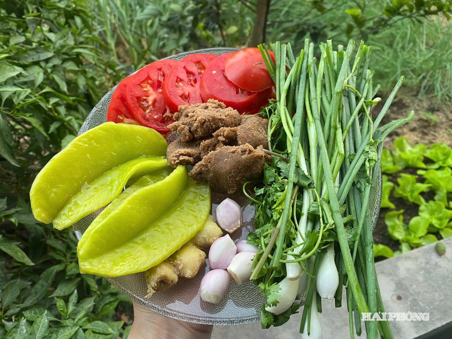 Ngư dân Nghệ An trúng đậm mẻ cá lú, thu về 700 triệu đồng chỉ sau một đêm