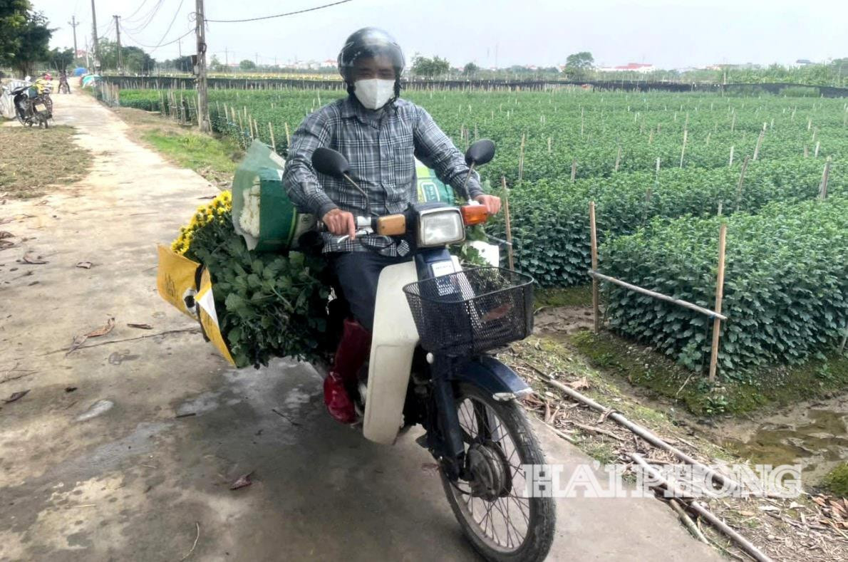 hoa-kim-dinh(1).jpg