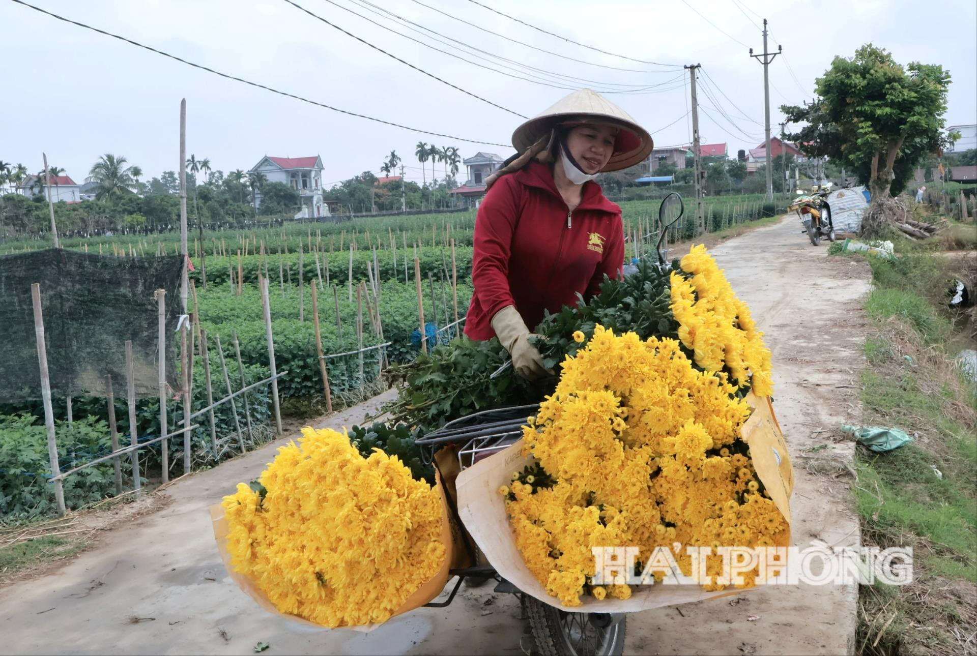 kim-dinh-8(1).jpg