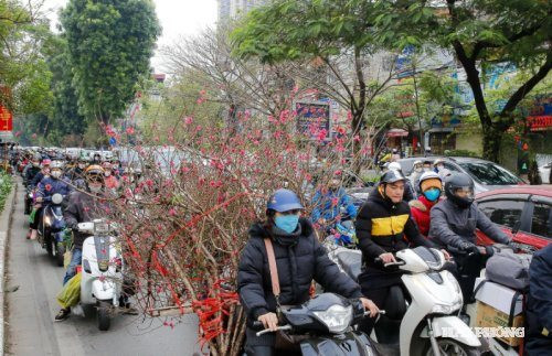 Tăng cường bảo đảm trật tự, an toàn giao thông dịp Tết và lễ hội xuân 2026. Ảnh minh họa