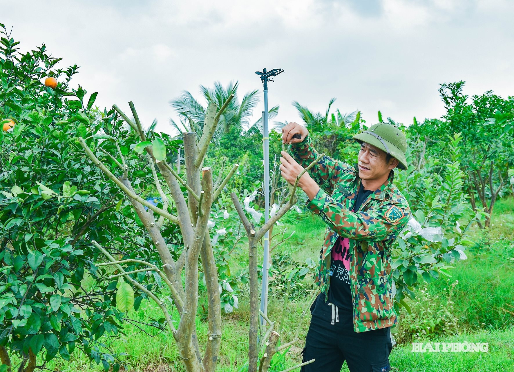 کام-وو-ایکس‌ای (3)