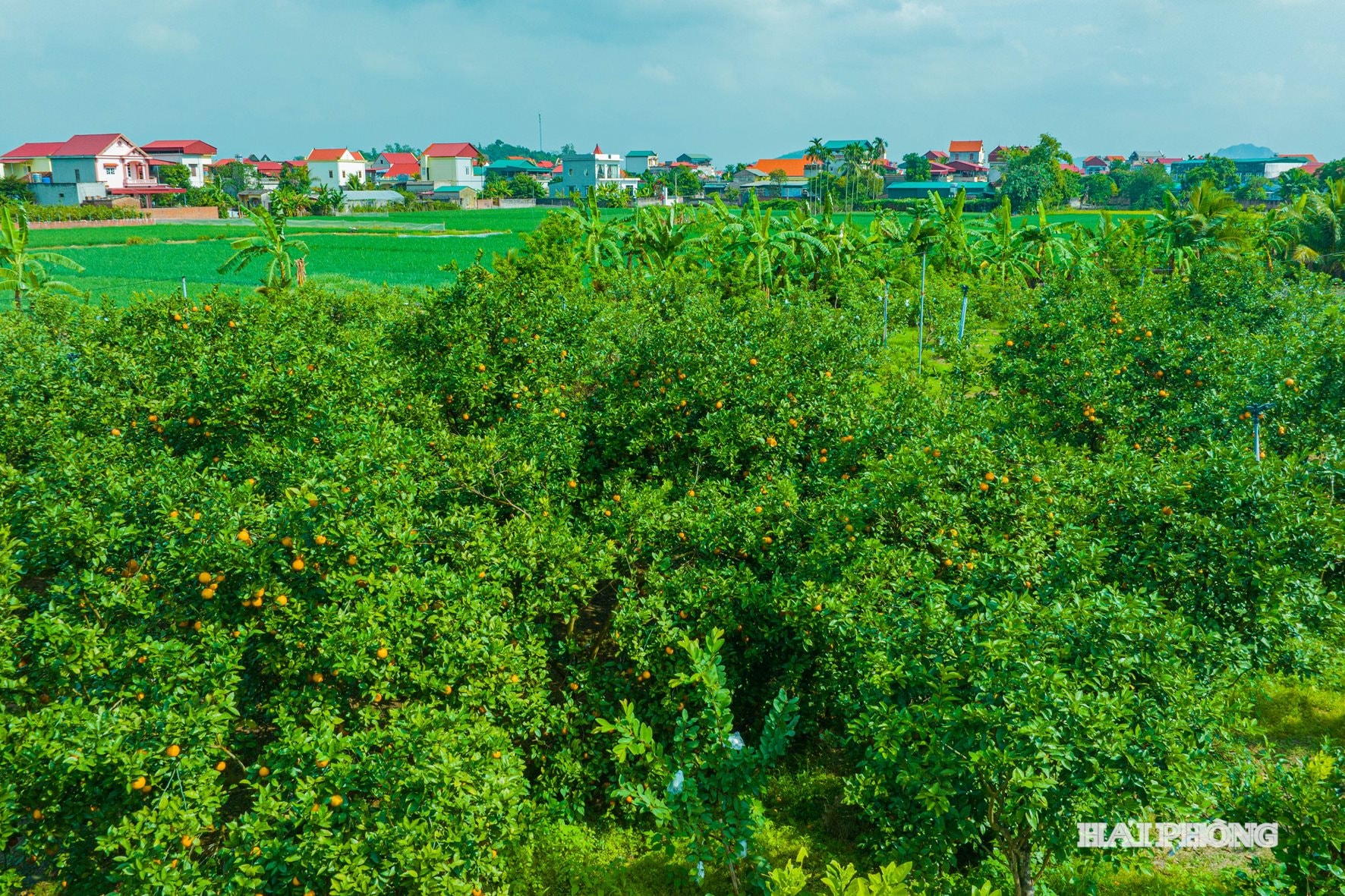 کام-وو-ایکس‌ای (4)