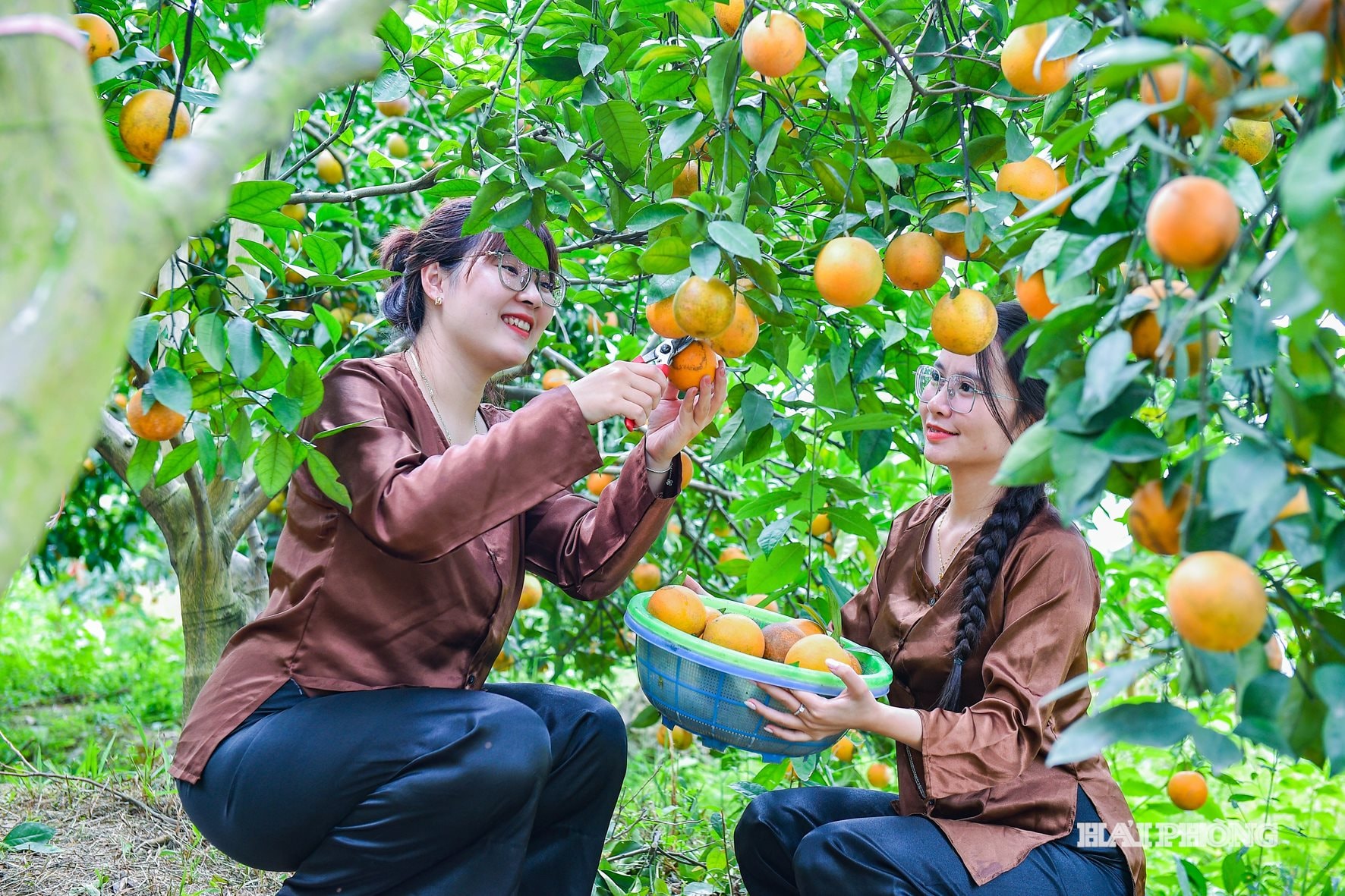 کام-وو-ایکس‌ای (6)