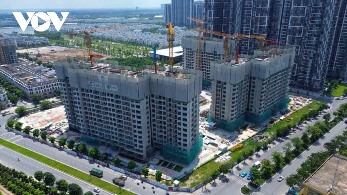 nam 2025, mot nam dang nho cua thi truong bat dong san viet nam hinh anh 1