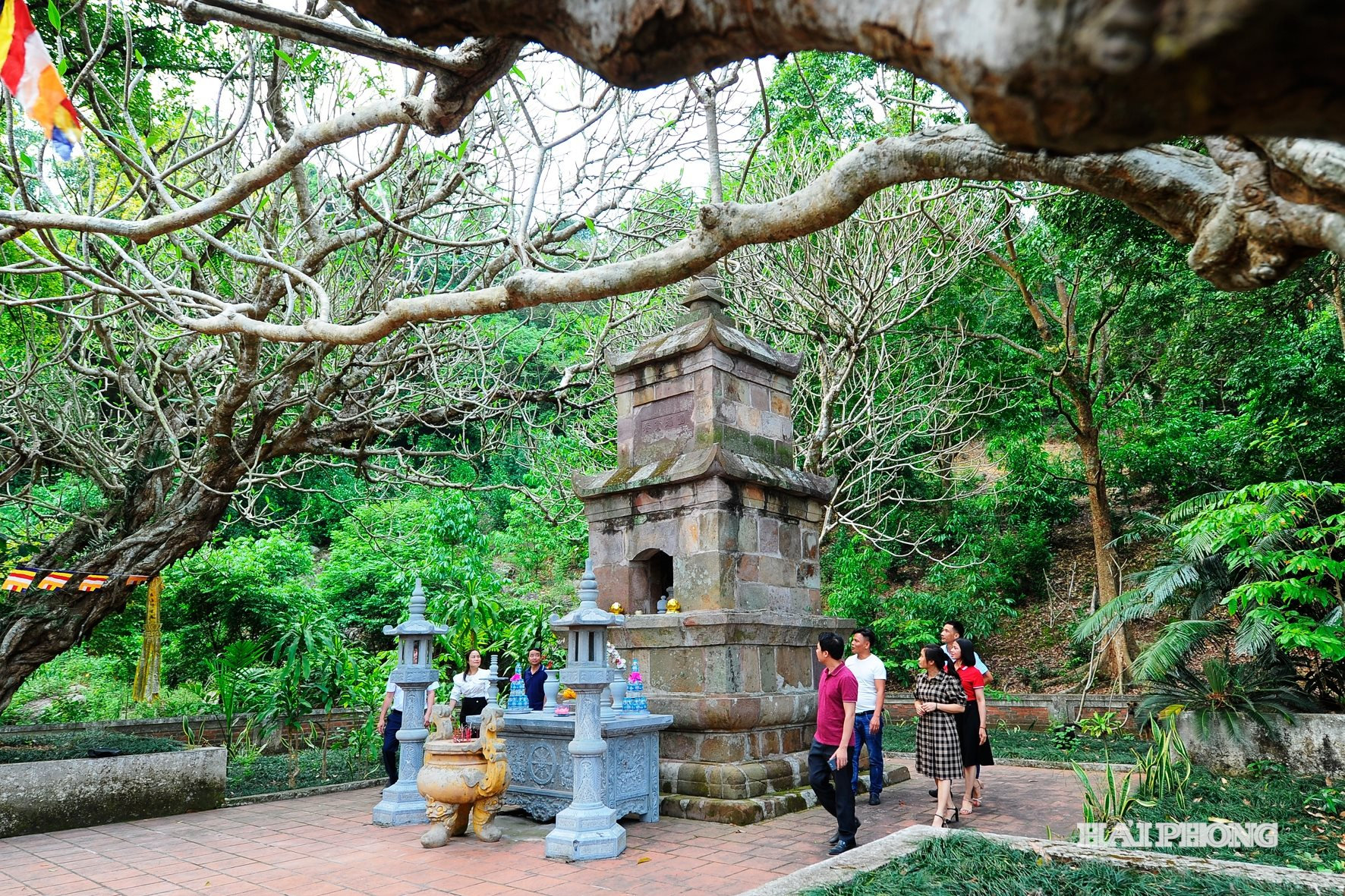 tinh-hoa-truc-lam.jpg