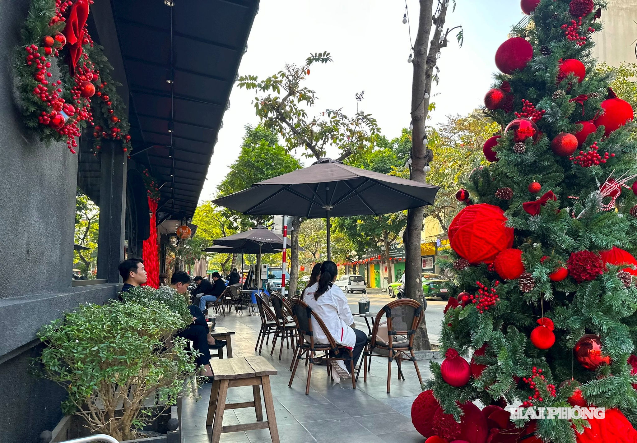 tue-tinh7.jpg