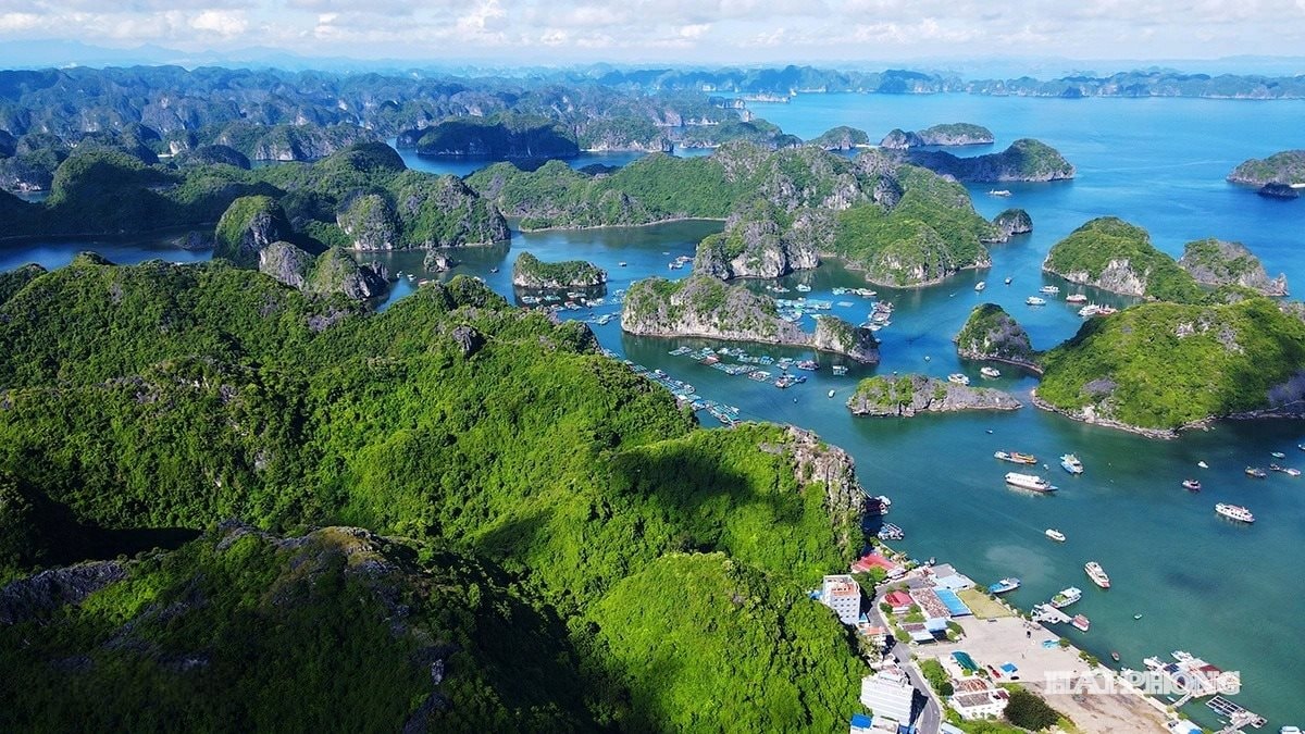Đảo Cát Bà là một trọng điểm chuyển đổi xanh của thành phố.