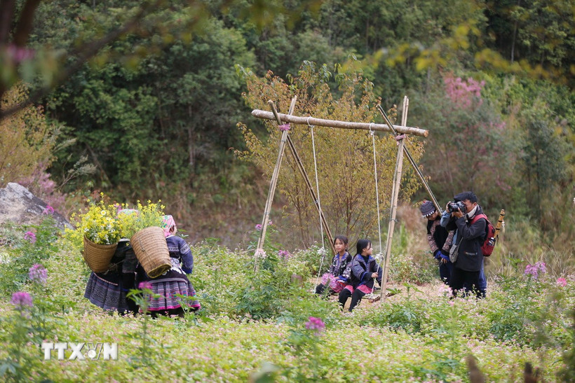 mu-cang-chai.jpg