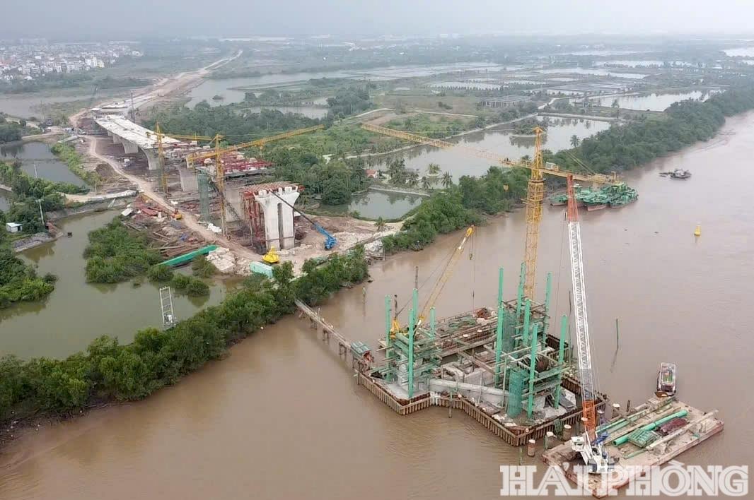 dau-nam-2-(1).jpg