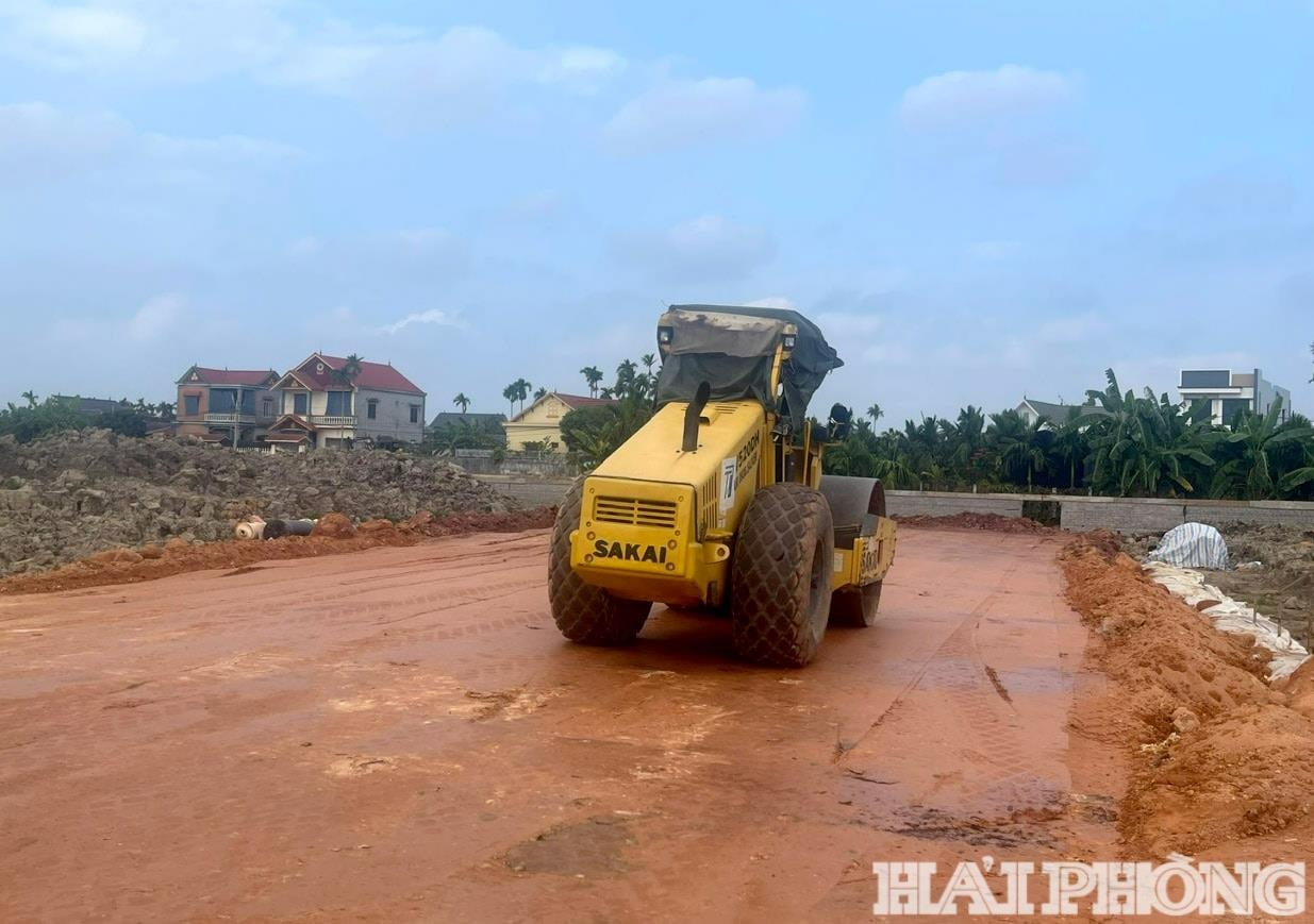 dau-nam-4-(1).jpg