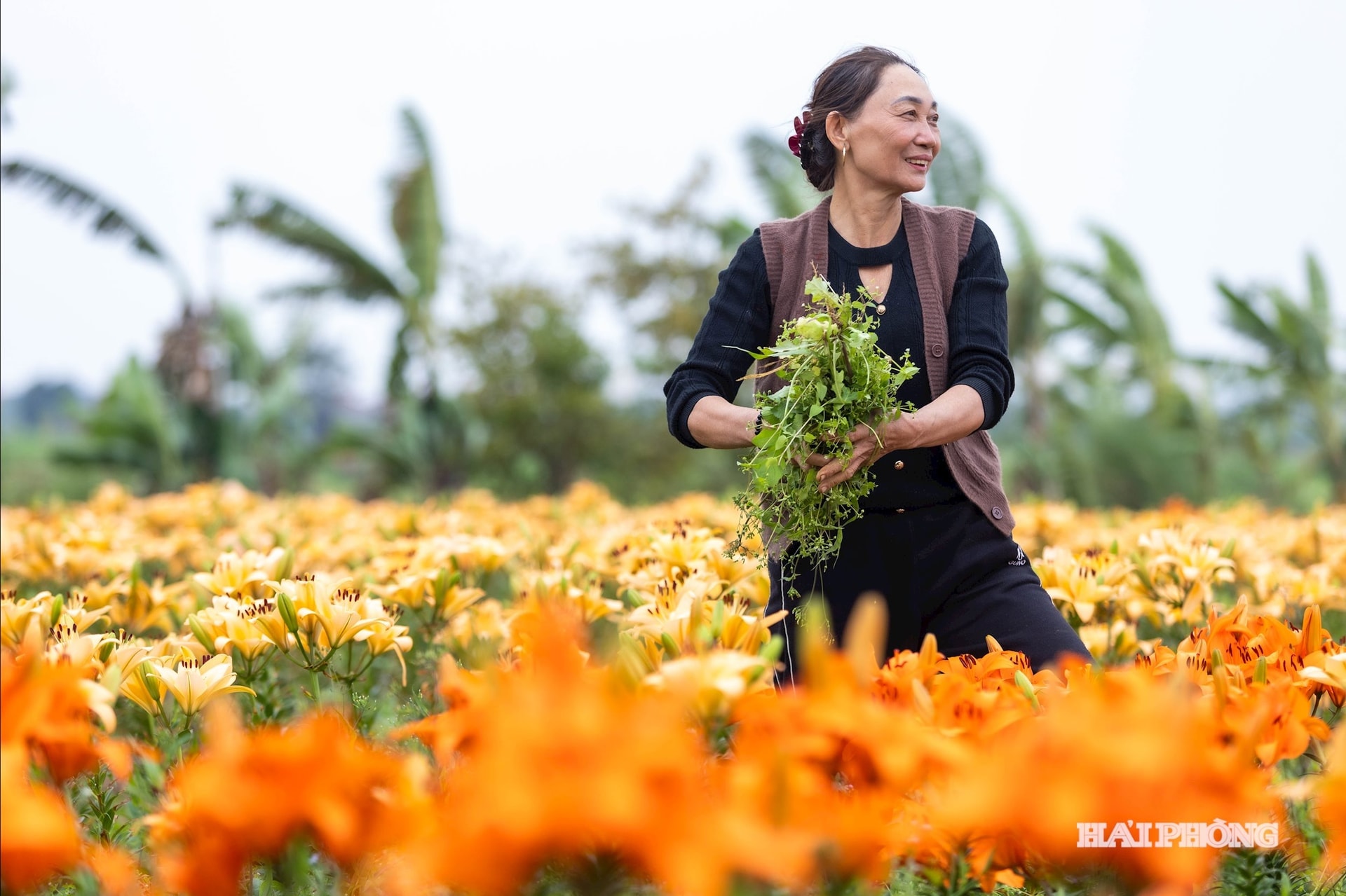 con-vinh-tru-5.jpg