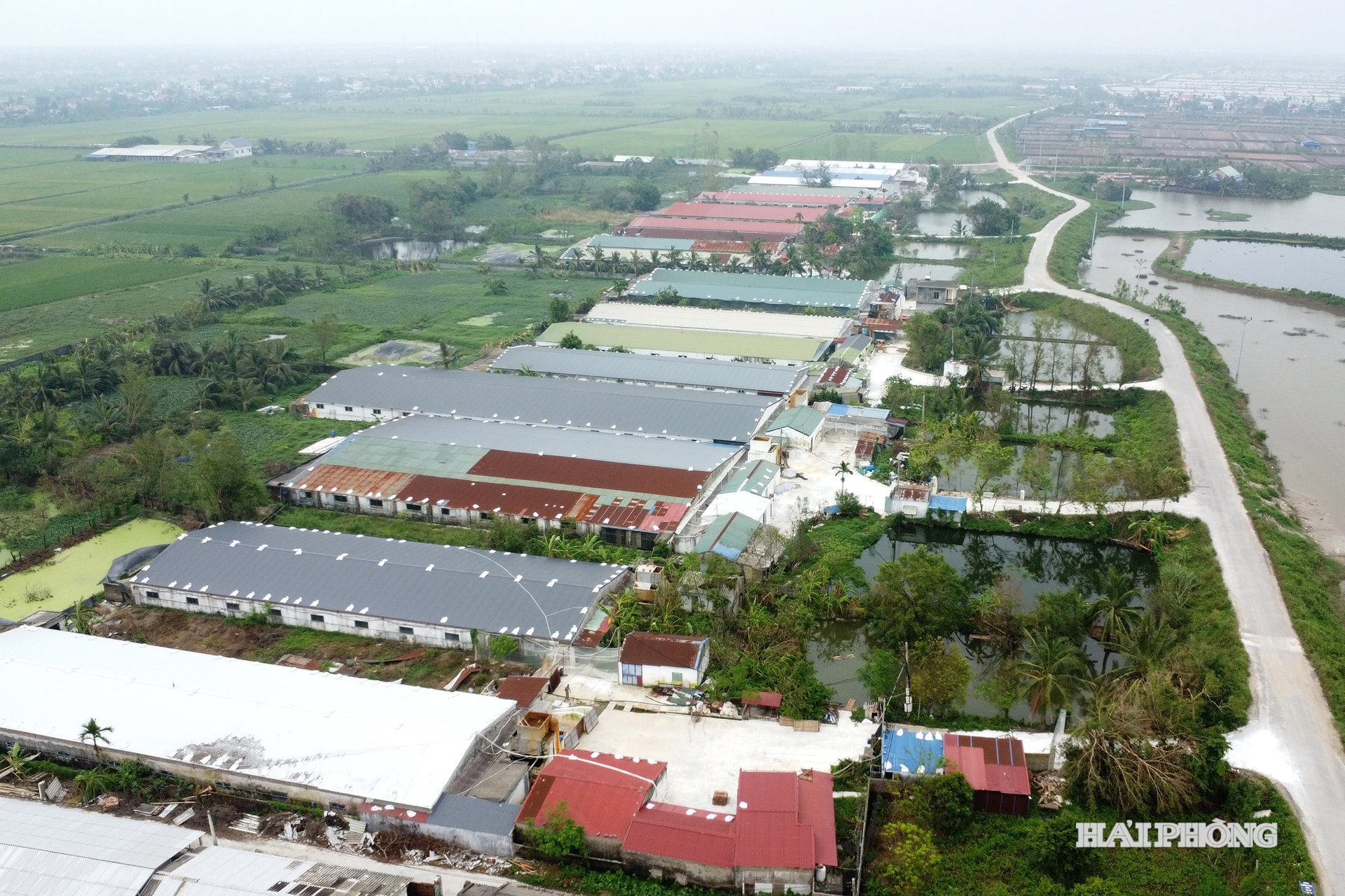 trang trai1