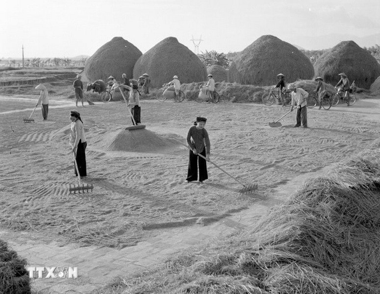 ttxvn-dai-hoi-lan-thu-iii-cua-dang-4.jpg