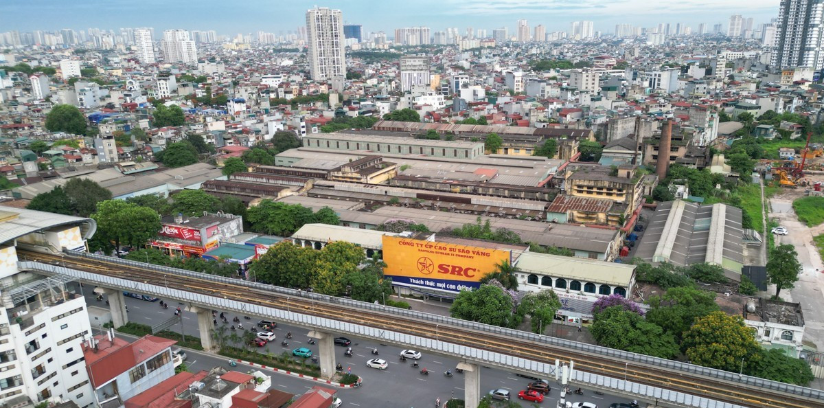 dat-vang-nguyen-trai.png
