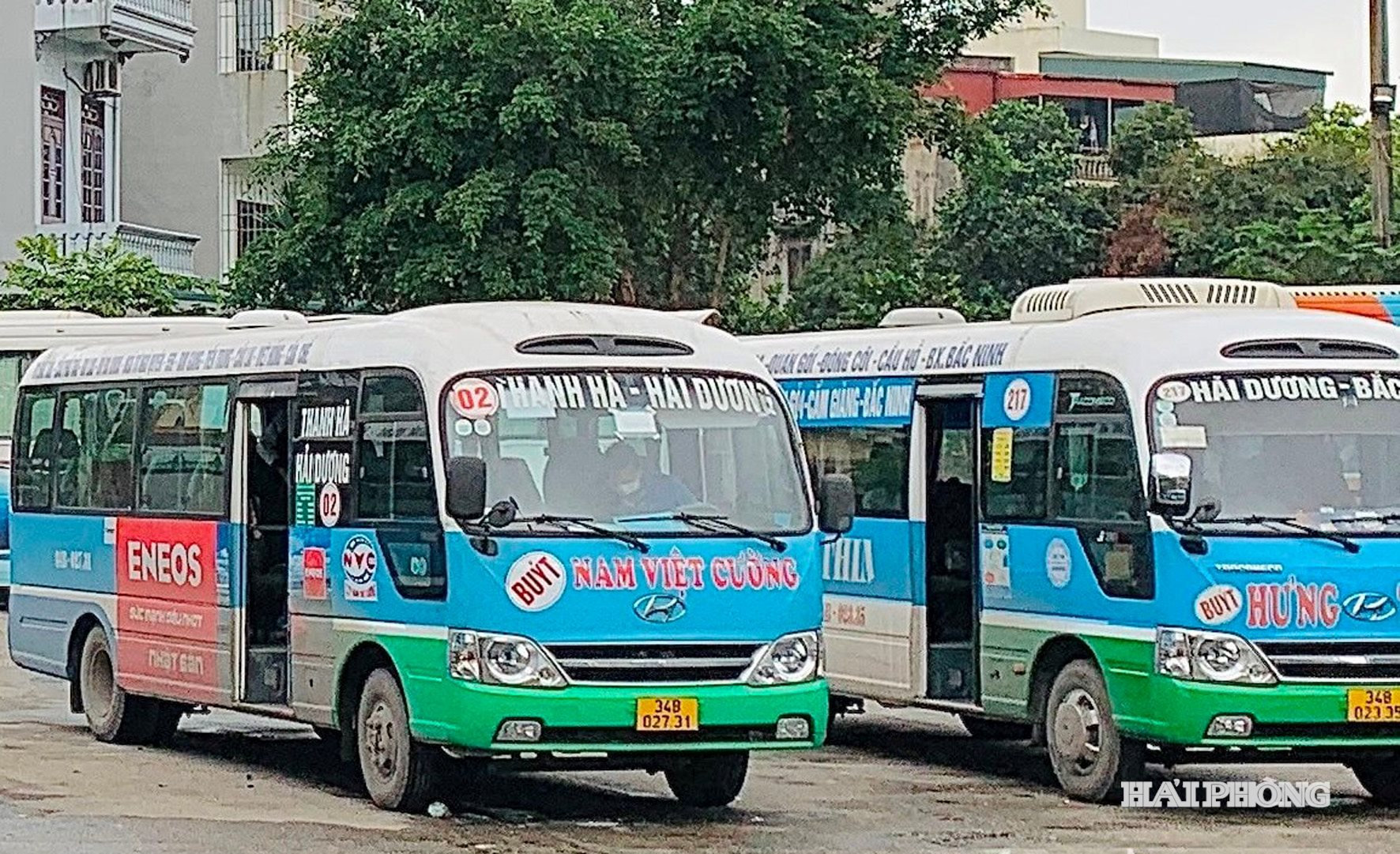 nam viet cuong