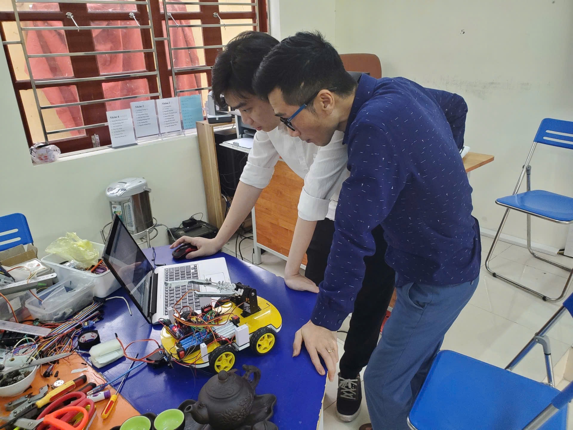 stem cat ba (1)