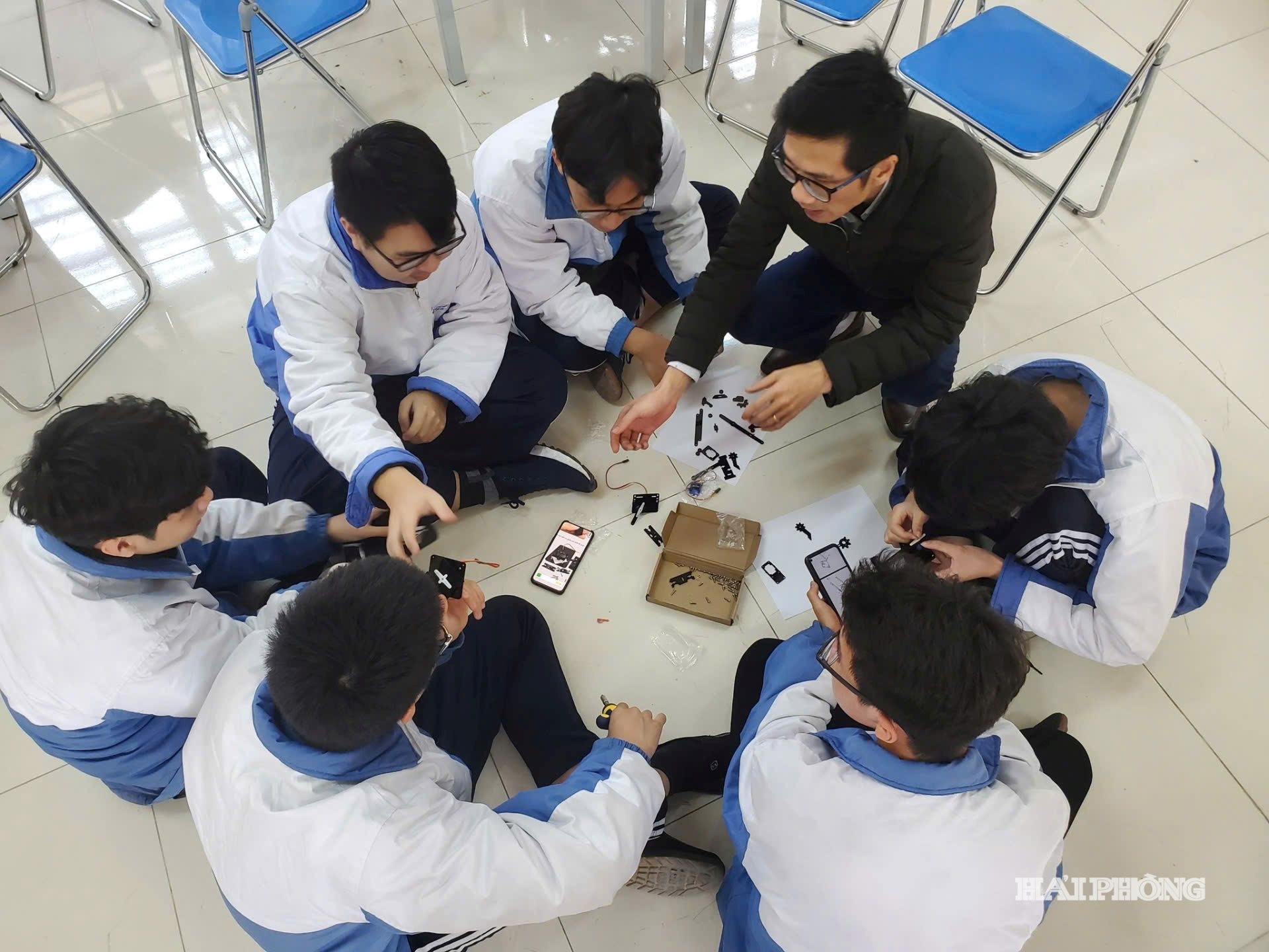 stem cat ba (4)