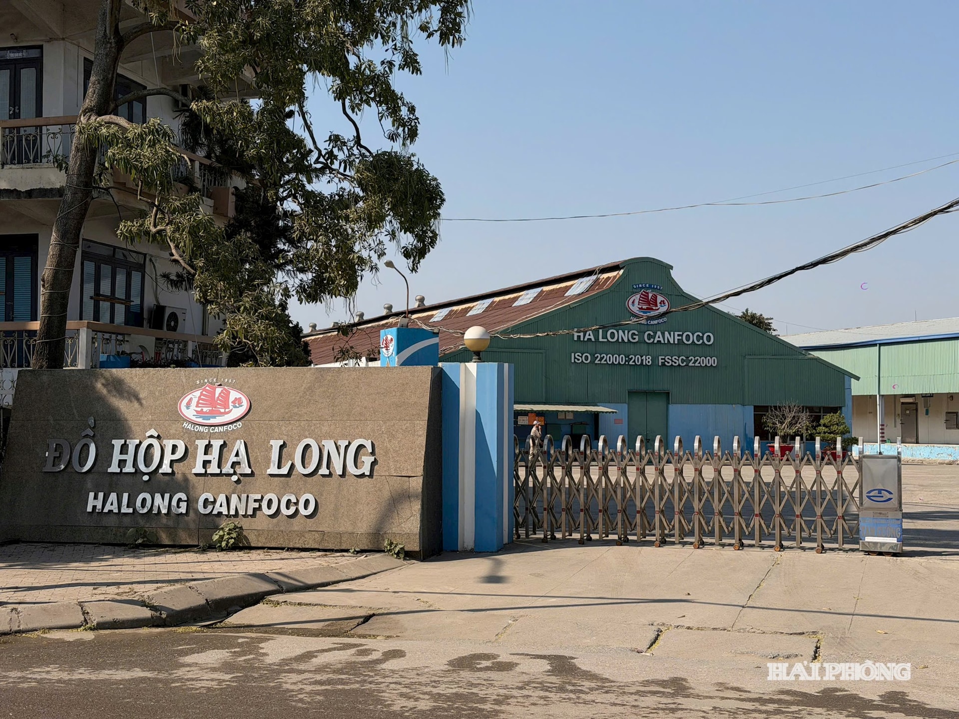do-hop-ha-long.jpg