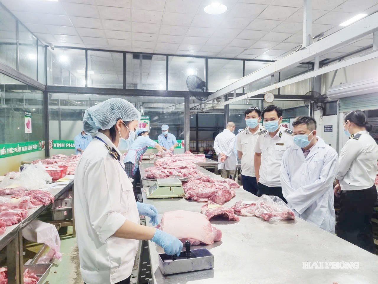 Cán bộ chi cục Chăn nuôi Chăn nuôi - Thú y kiểm tra cơ sở giết mổ thịt lợn ở phường Kiến An.