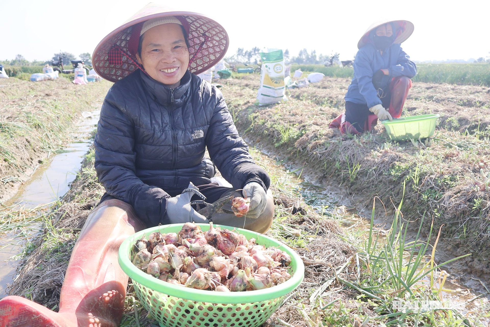 هان-آن-فو (1).jpg