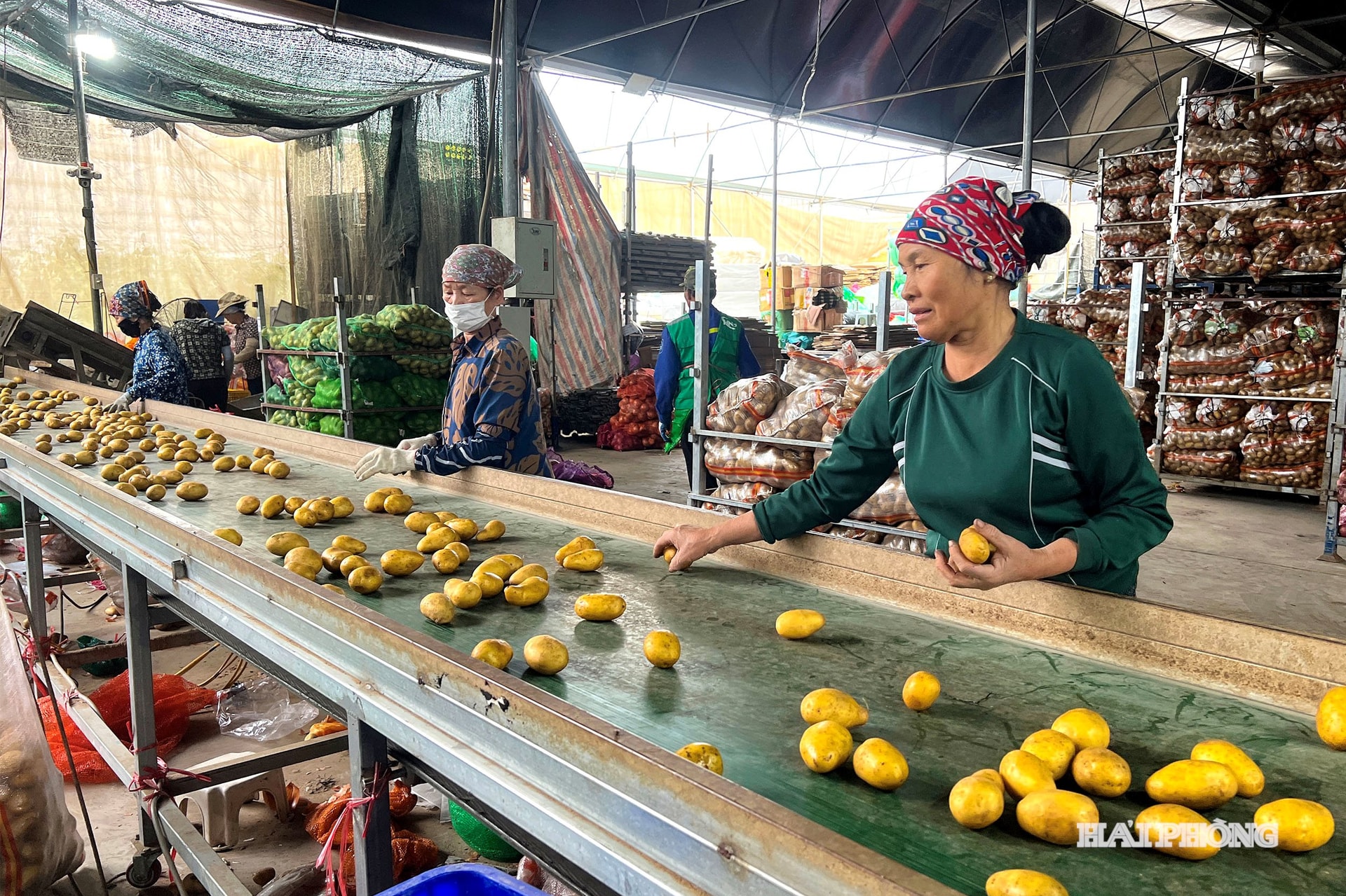 Quartier Thach Khoi 3