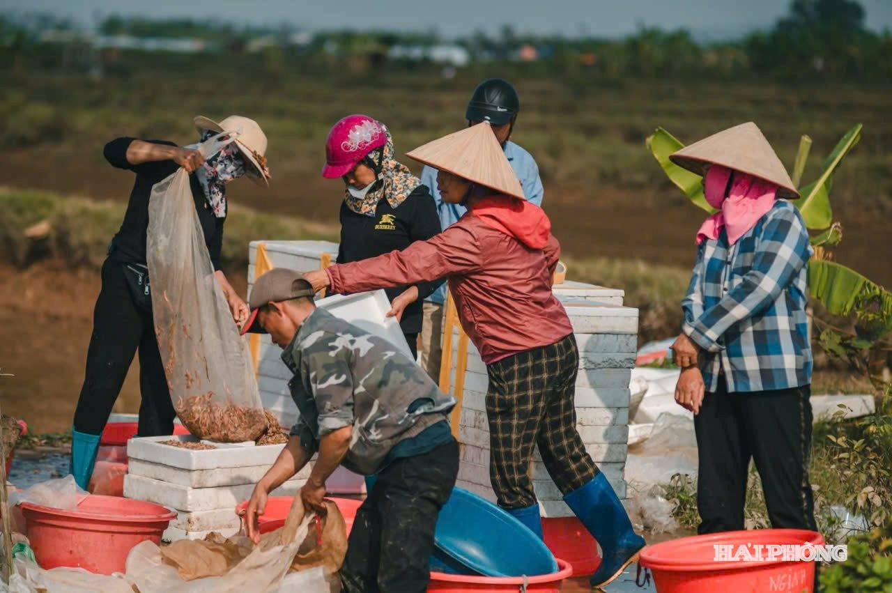 xa-vinh-thuan.jpg