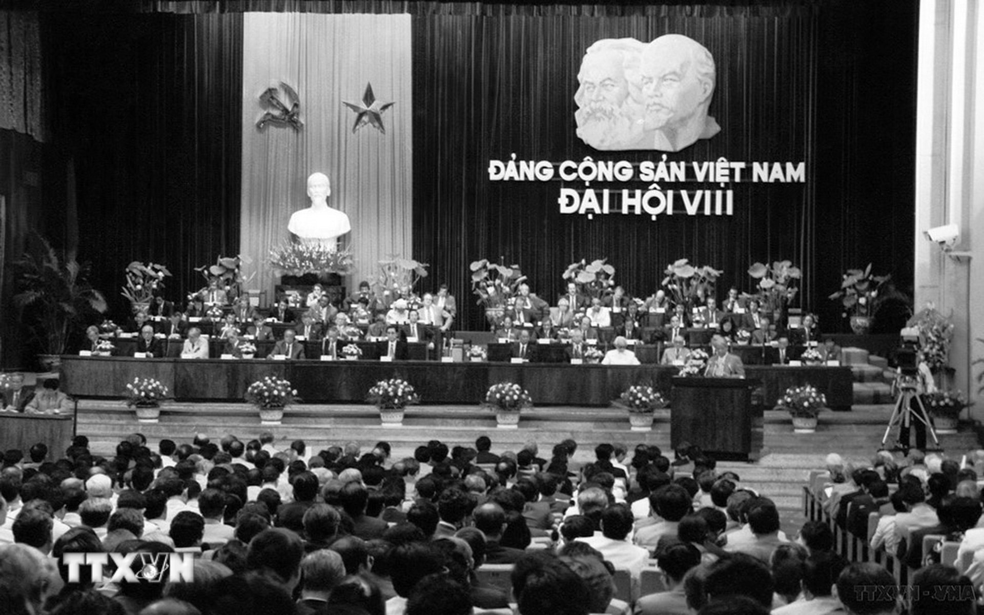 dai hoi 8