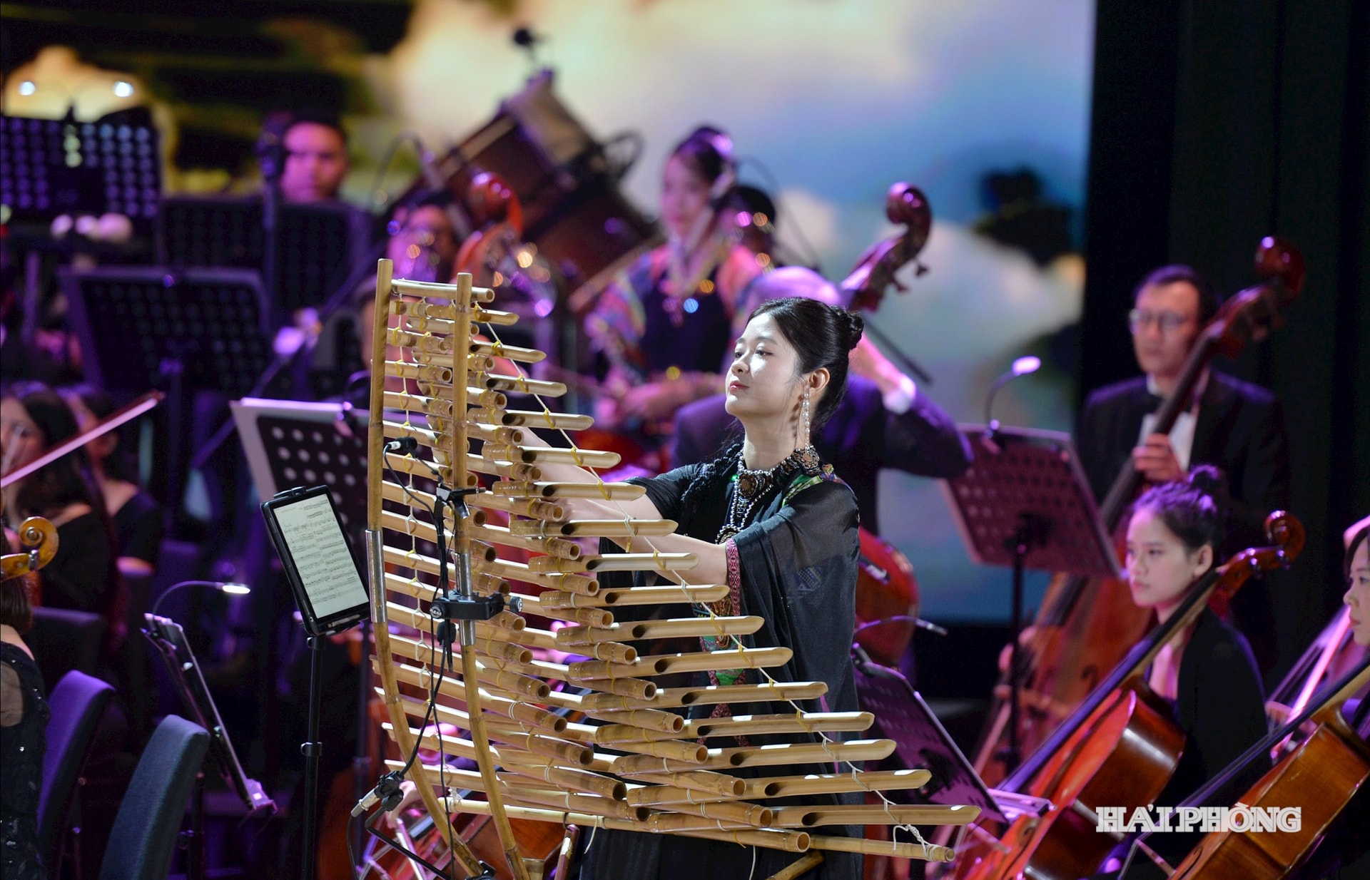 ban-giao-huong-mua-xuan30(2).jpg