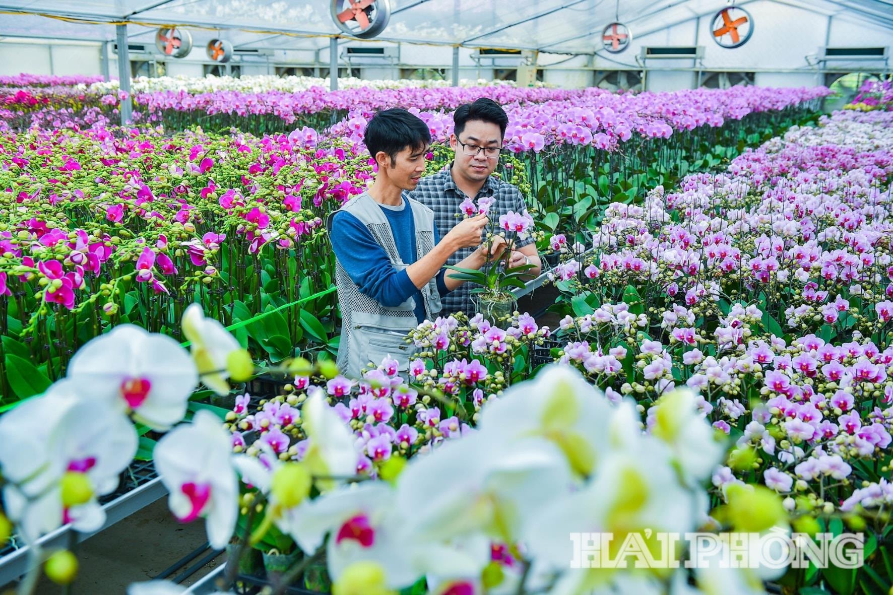 まだ1ヶ月も残っているのに。