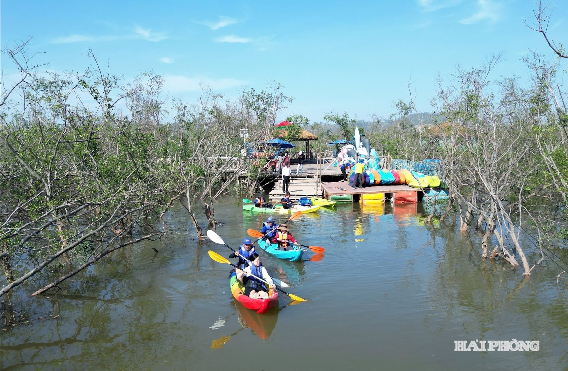 nam do son rung ngap man