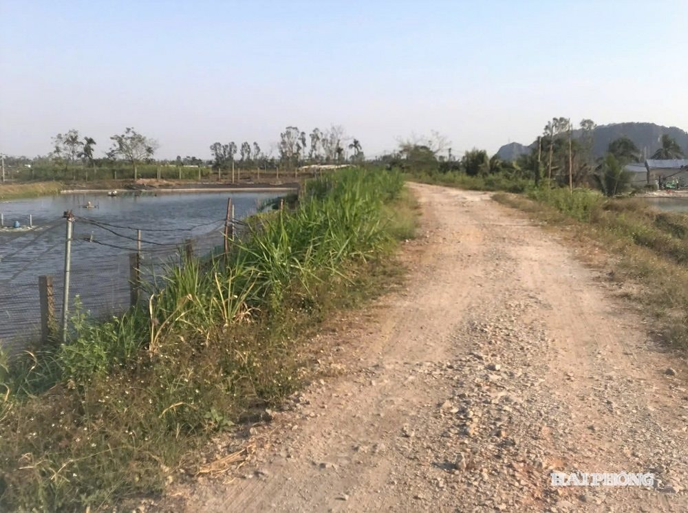 tuyen-de.jpg
