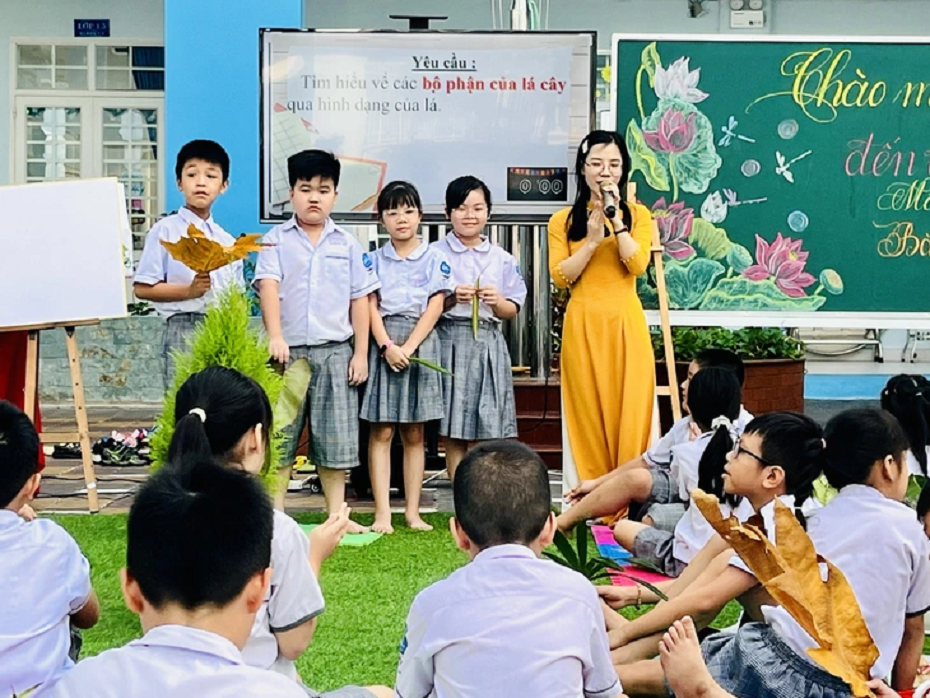 mam-non-dinh-bo-linh.png