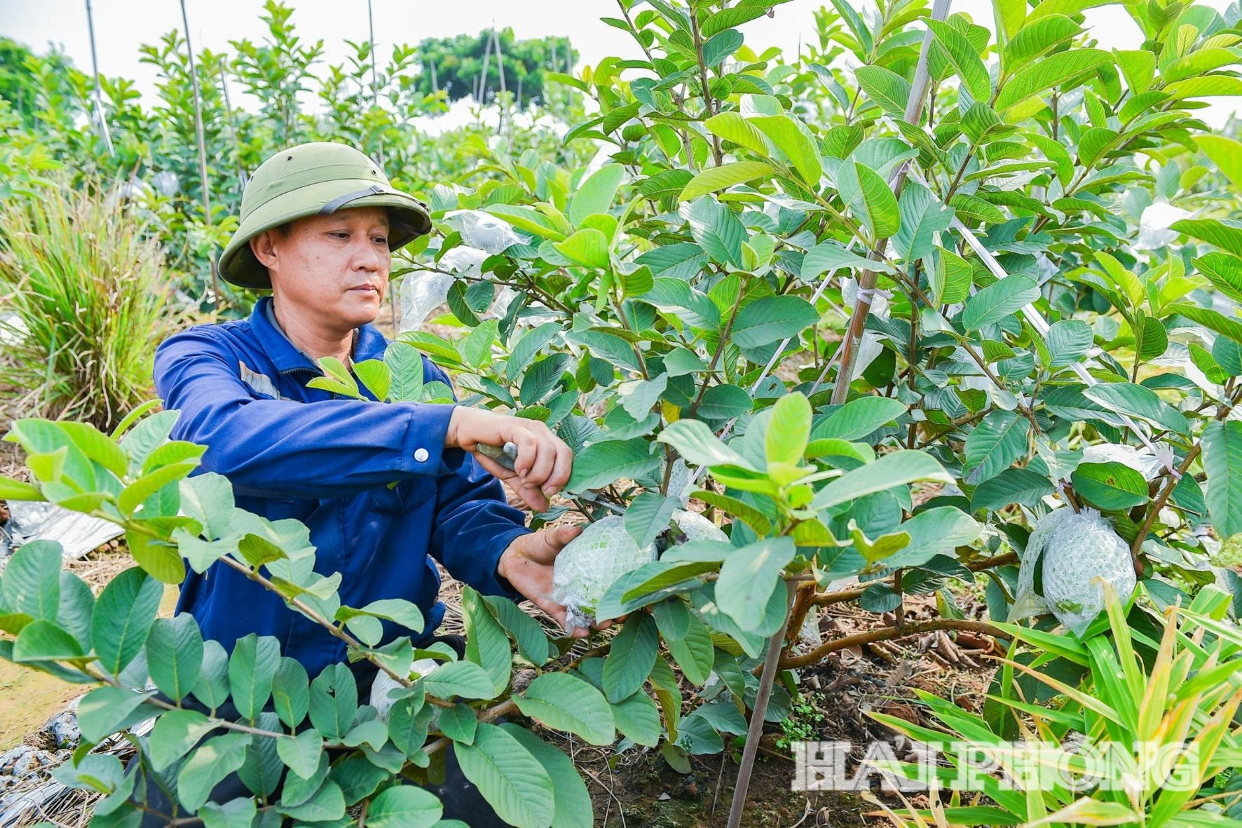 chuan-bi-oi-tet-1-.jpg