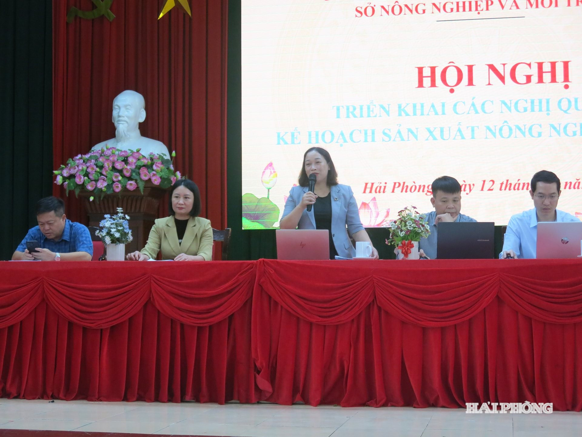 hoi-nghi-1.jpg