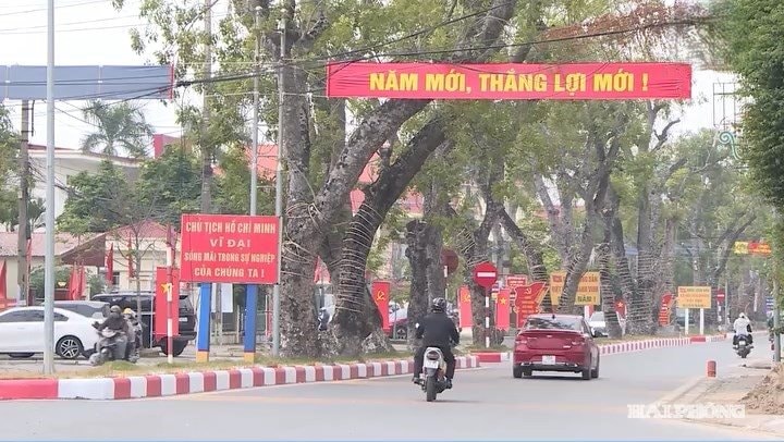 کمون کین توی ۳