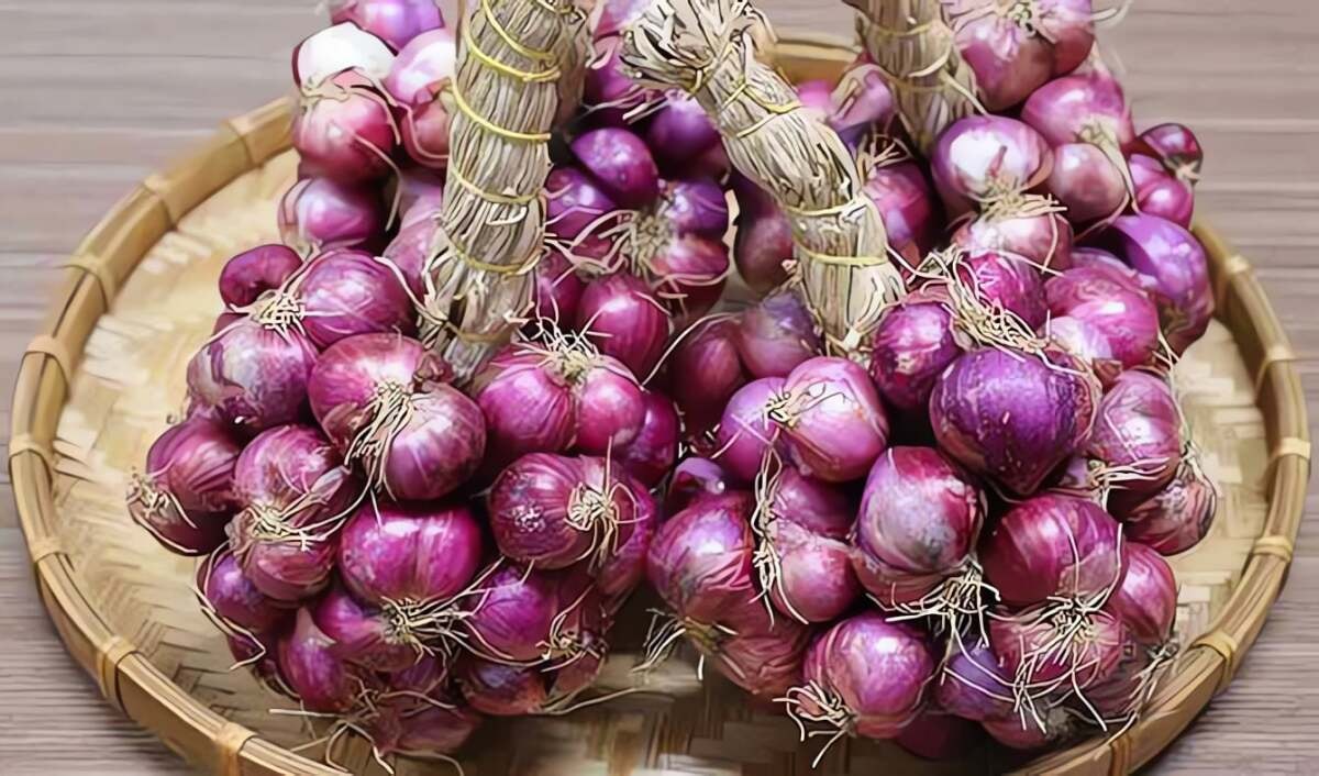 Muối hành ăn Tết, không được quên những điều này hành sẽ luôn giòn tan, không bị khú hỏng - 1