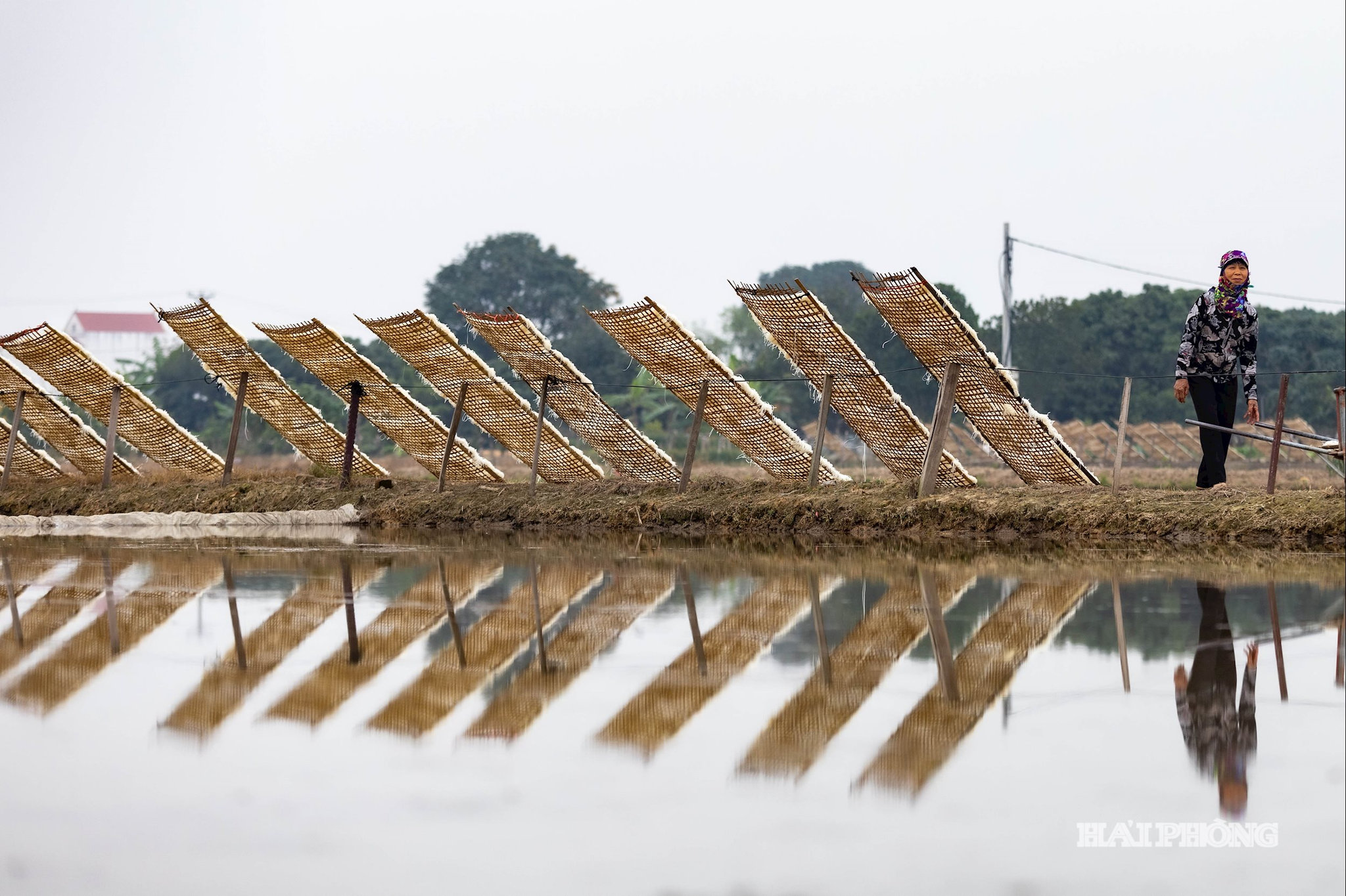 banh-da-soi-1.jpg