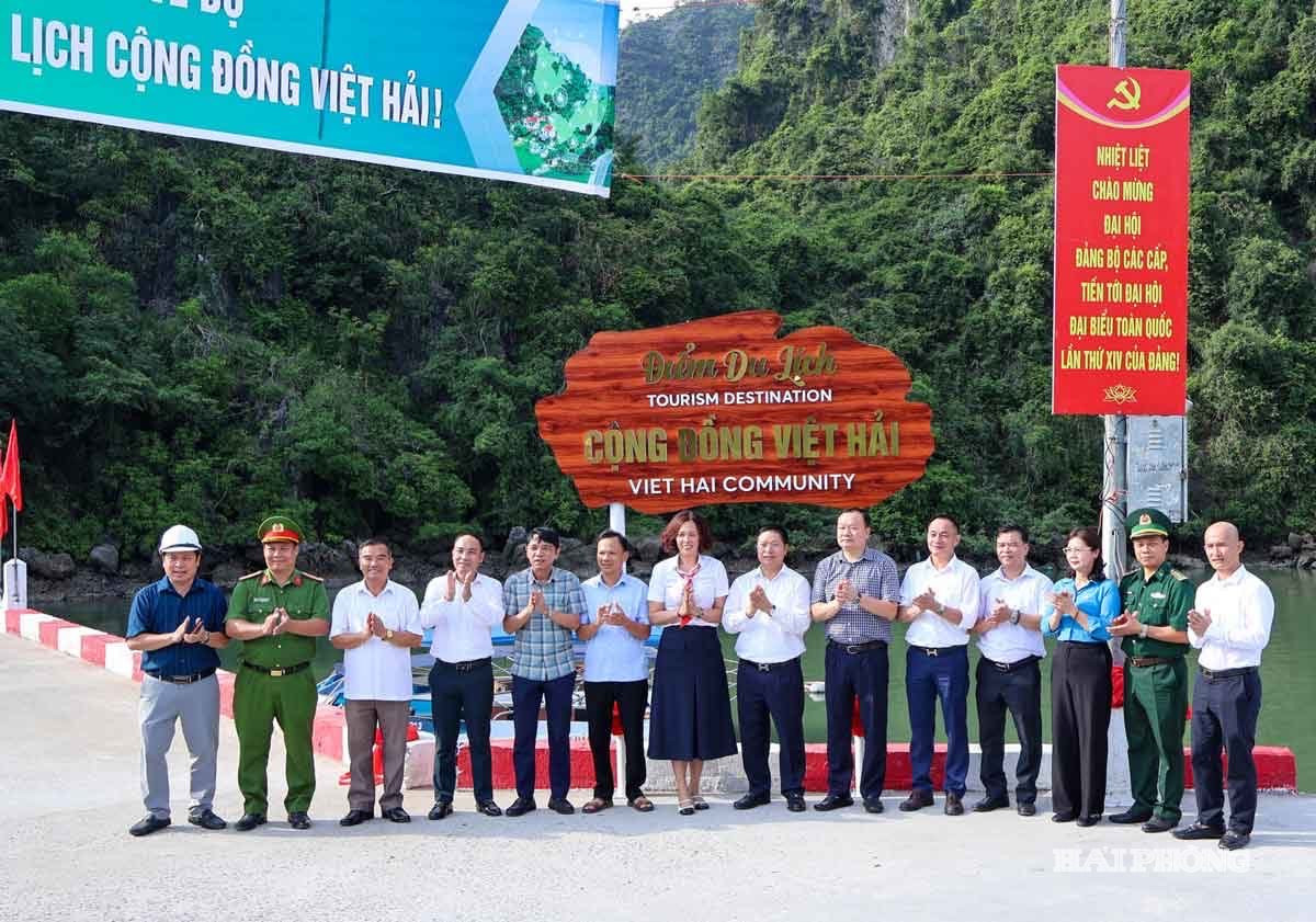 viet-hai.jpeg