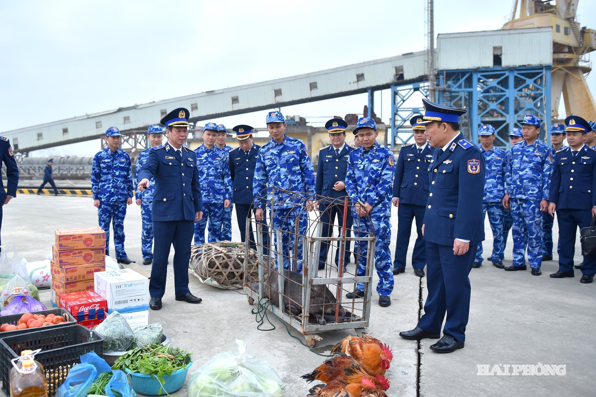 Thiếu tướng Trần Văn Thơ, Tư lệnh Vùng Cảnh sát biển 1 động viên cán bộ, chiến sĩ tàu Cảnh sát biển 4036 trước giờ lên đường thực hiện nhiệm vụ trực sẵn sàng chiến đấu trên biển dịp Tết Nguyên đán Bính Ngọ.