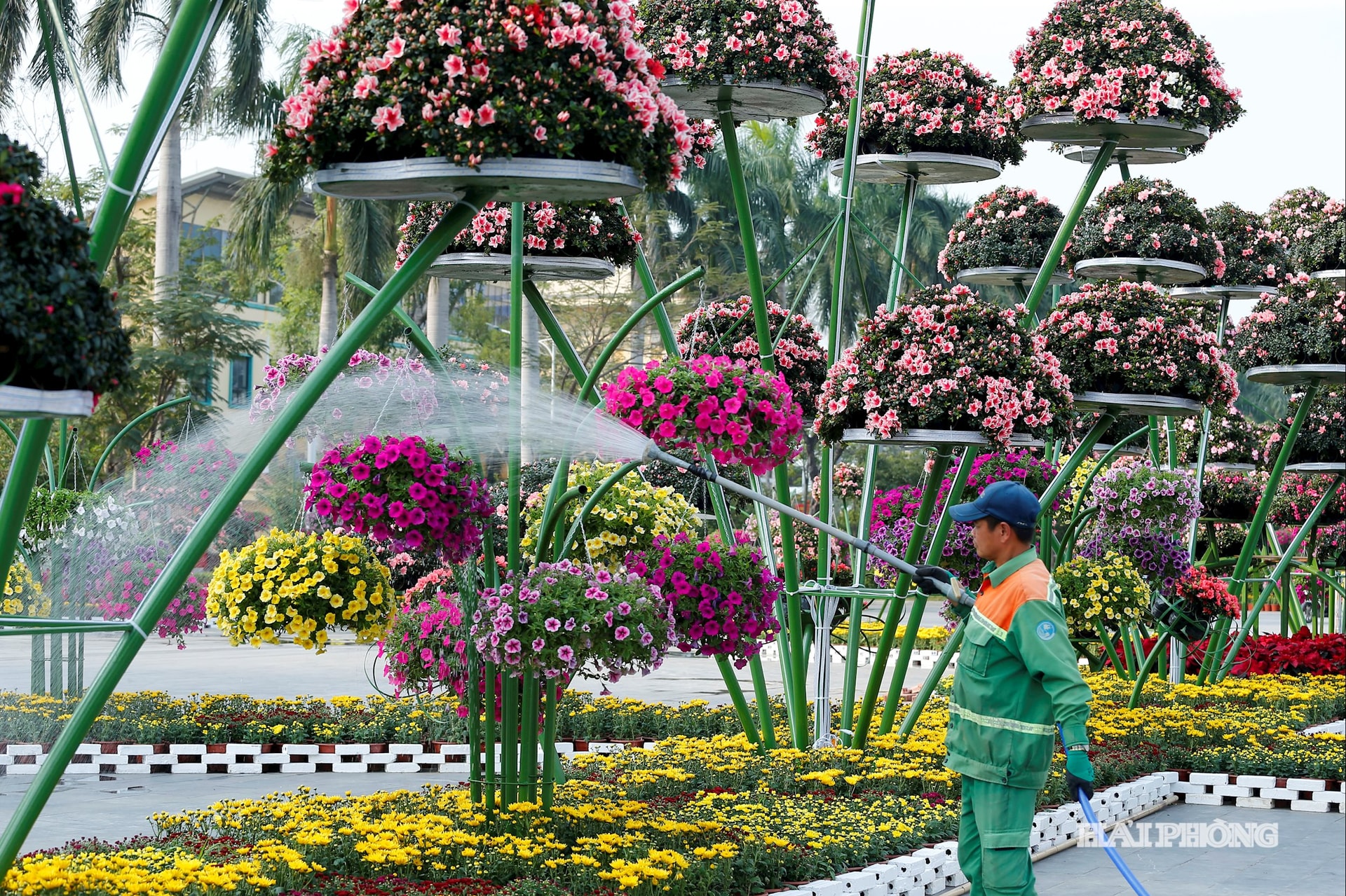 Centinaia di migliaia di piante fiorite, curate e mantenute quotidianamente dai dipendenti della Urban Environment Company, sfoggiano i loro colori vivaci lungo la fascia di giardini fioriti al centro della città.