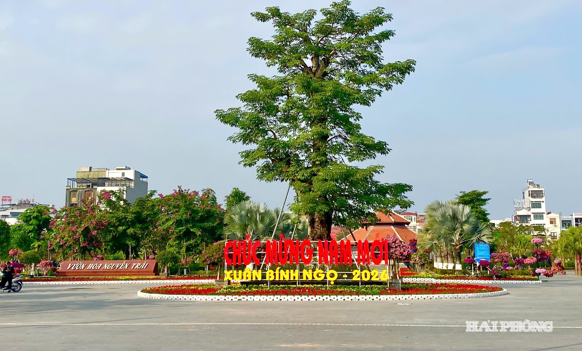 Il giardino fiorito di Nguyen Trai (quartiere di Ngo Quyen) ha completato gli addobbi per dare il benvenuto al nuovo anno.