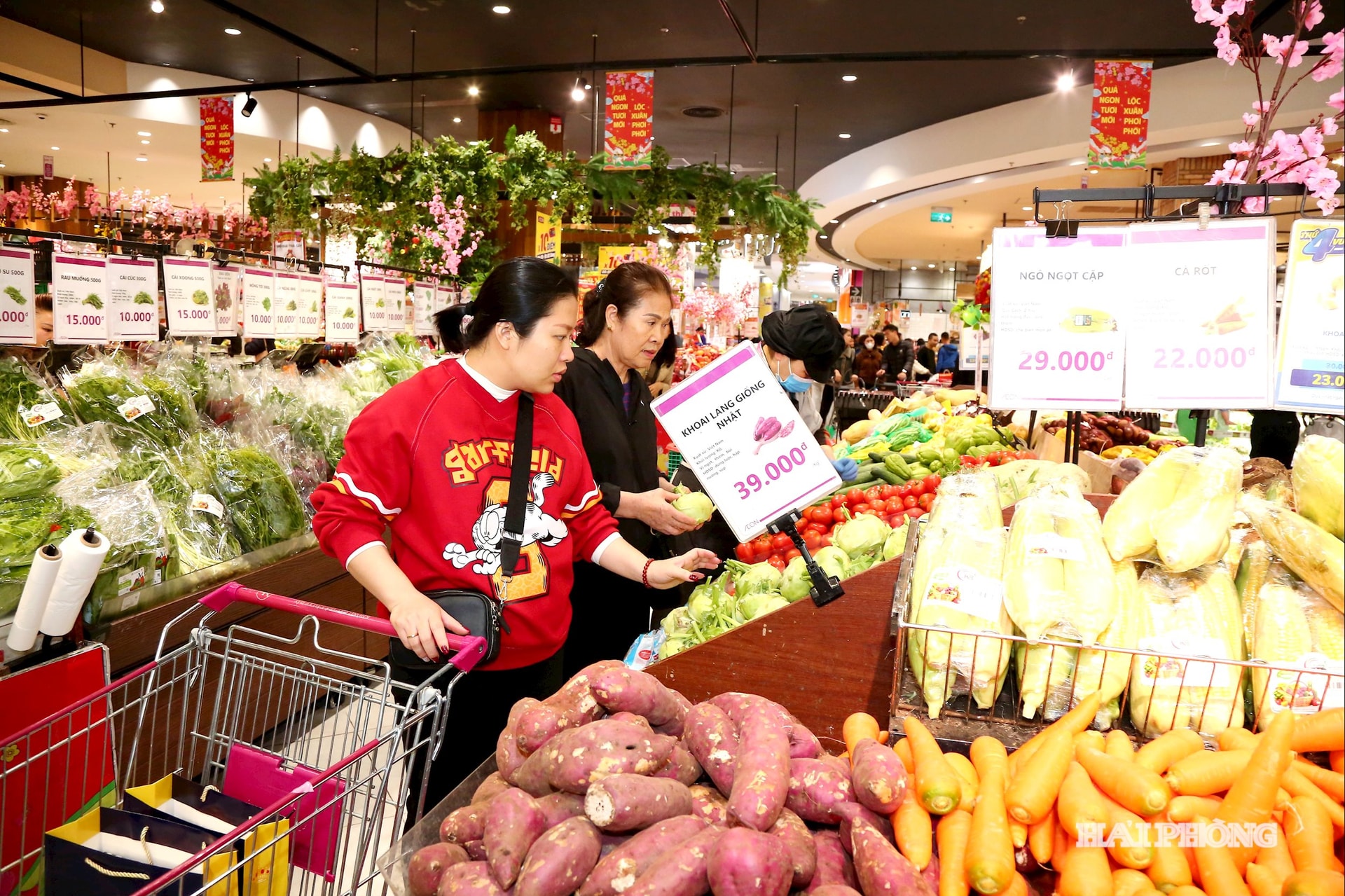 مردم برای عید تت (سال نو قمری) در مرکز خرید آئون لو چان - های فونگ خرید می‌کنند.