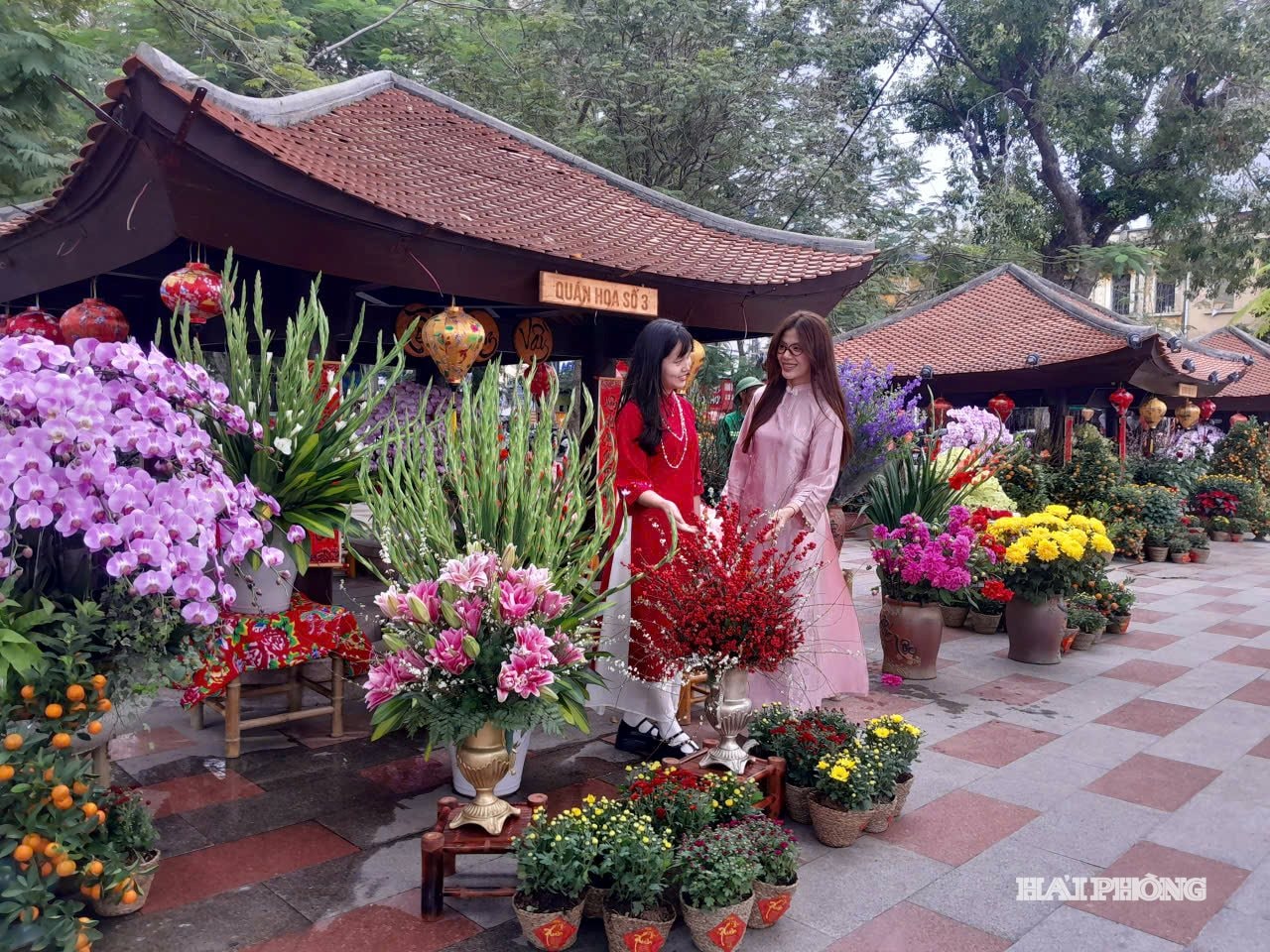 quan-hoa.jpg