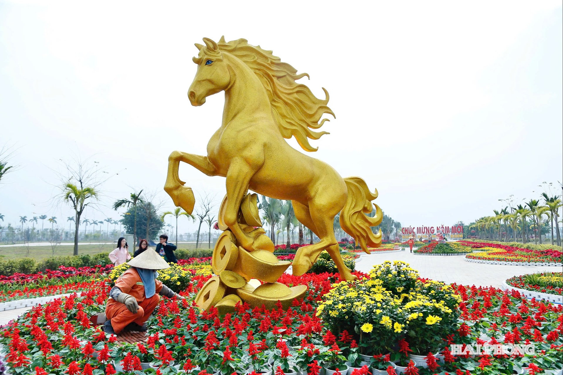 trang-tri1.jpg